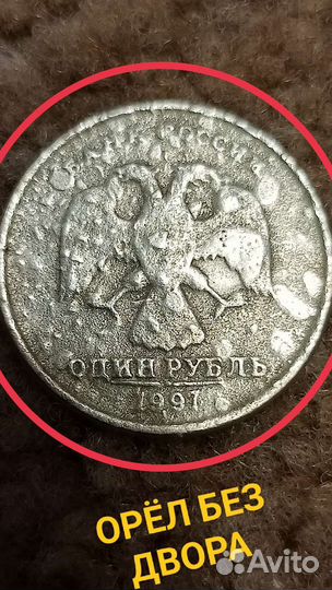 Без двора*97