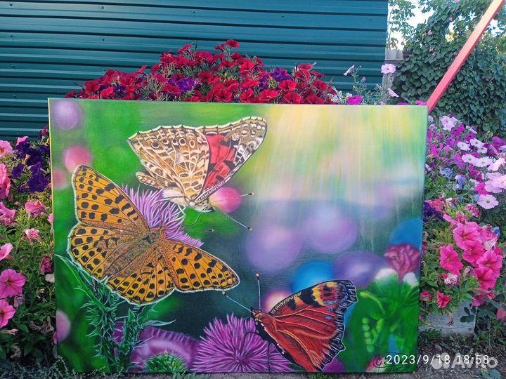 Волшебные бабочки