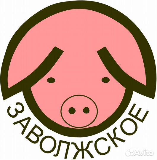 Водитель категории В