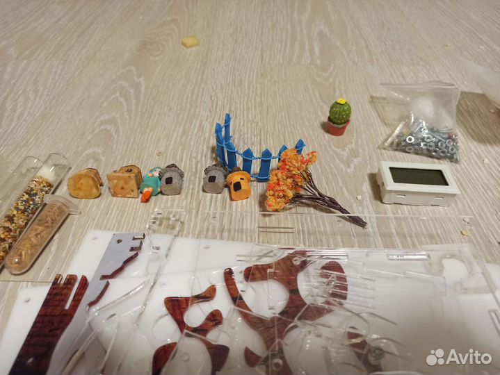 Муравьиная ферма без муравьев