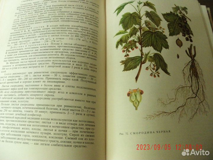 Учебники и книги по фармакогнозии