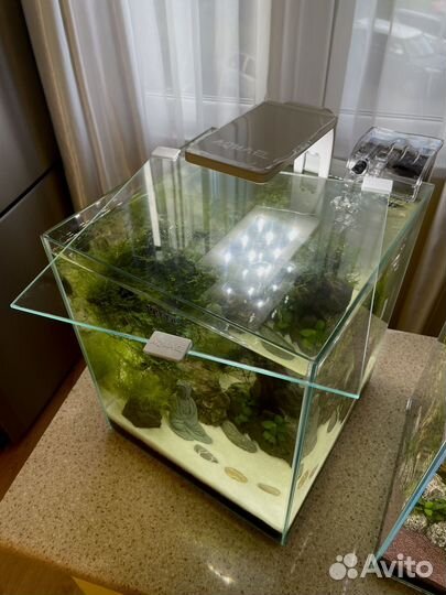 Аквариум с дизайном