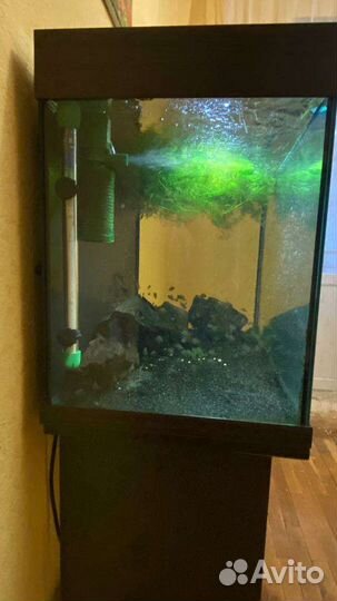 Аквариум