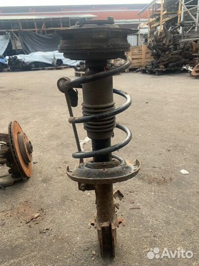 Амортизатор правый Nissan Micra 2004