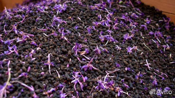 Иван-чай выдержан в кедр сундуке 1кг