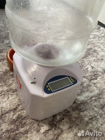 Кормилка для домашних животных