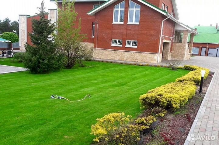 Рулонный газон/Рулонный газон под ключ