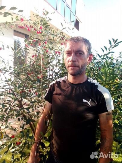 Столяр или разнорабочий