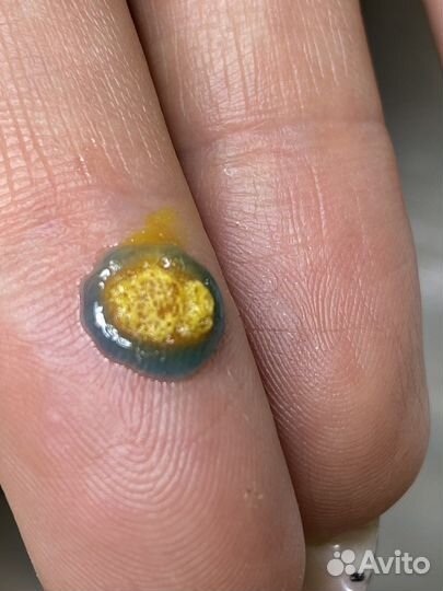 Услуги Подолог