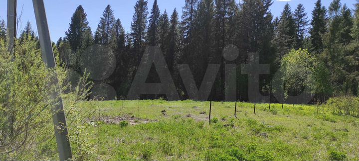 Участок 26,2 сот. (СНТ, ДНП)