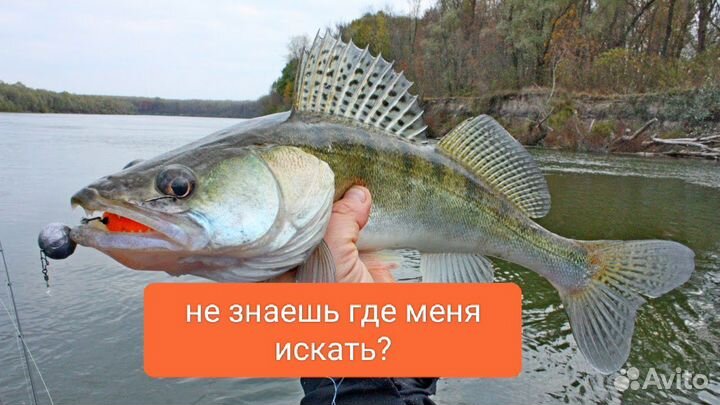 Карта глубин Волгоград