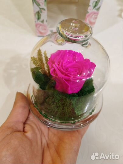 Вечная роза