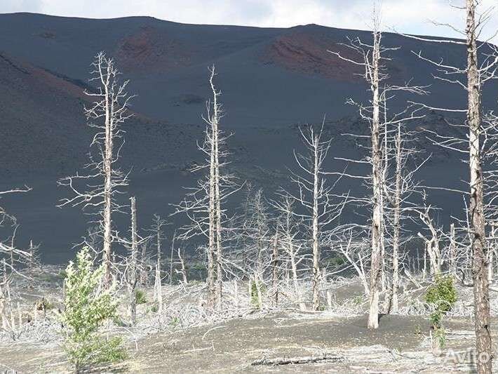 Тур. Толбачик. Камчатка