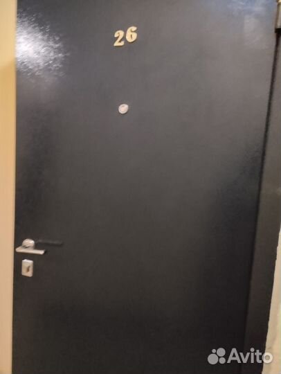 Дверь входная металлическая