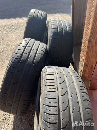 Continental ContiPremiumContact 2 205/60 R16