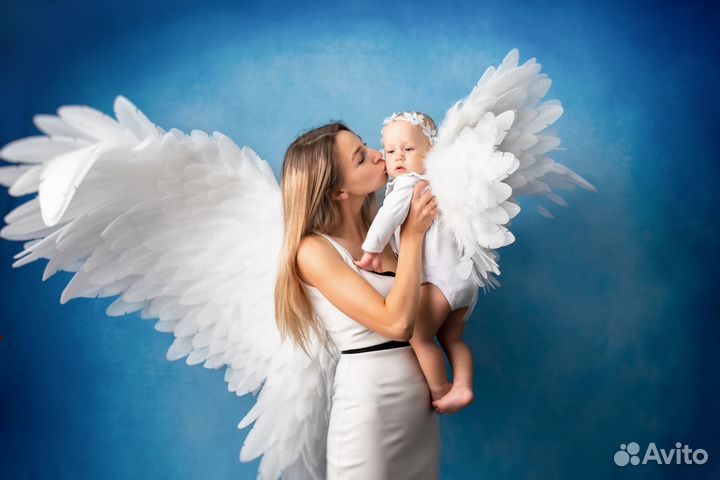 Крылья Ангела в аренду