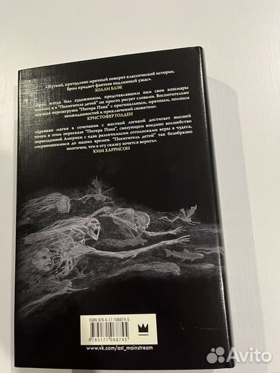 Книга: Похититель детей, Бром