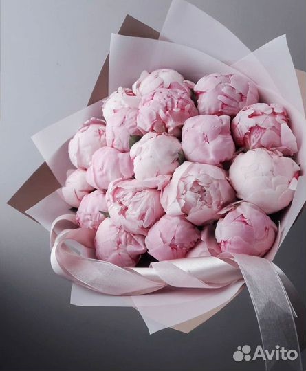 Крупные пионы с беспл. доставкой