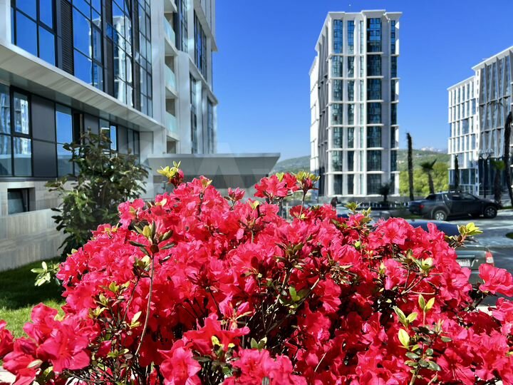 Свободного назначения, 55 м²