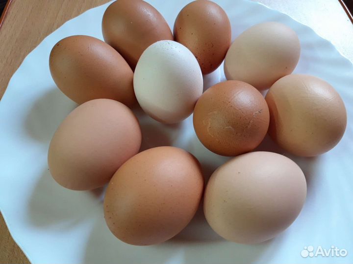 Ветчина домашняя, Домашние куриные яйца