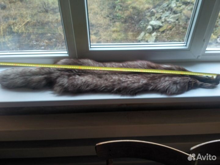 Шкура песца чулок