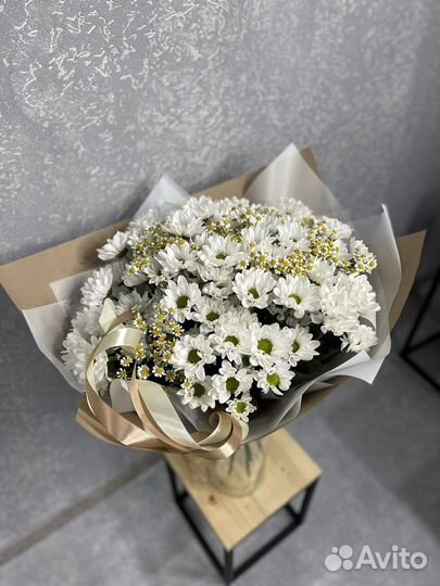 Хризантема кустовая