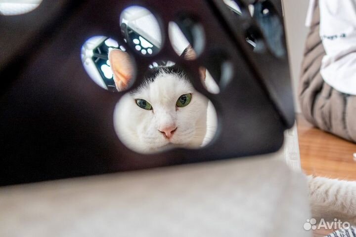 Домик для кошки или собачки новый