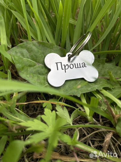 Адресник для собак и кошек