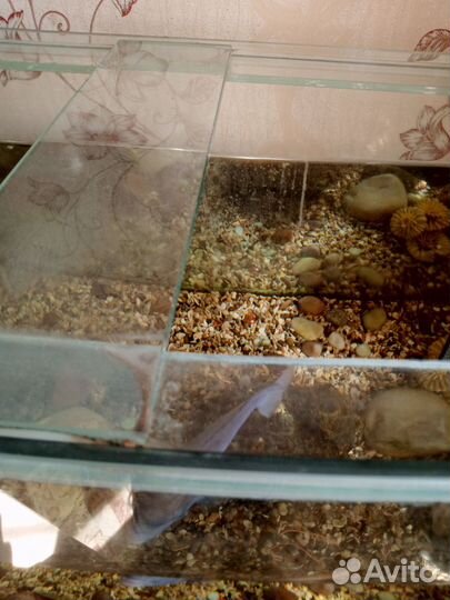 Аквариум с тумбой 300 литров