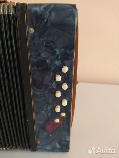 Детский аккордеон Беларусь СССР