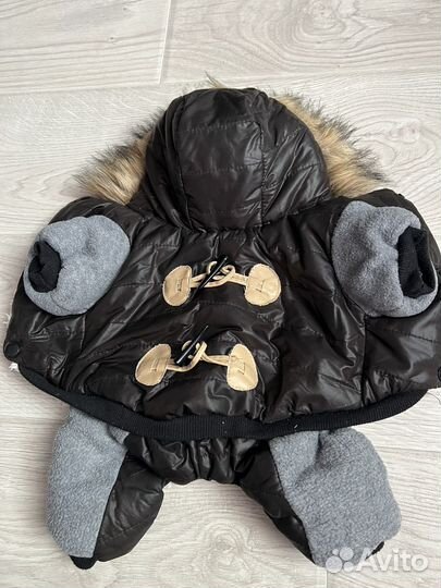 Одежда для собак