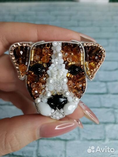 Джек рассел терьер