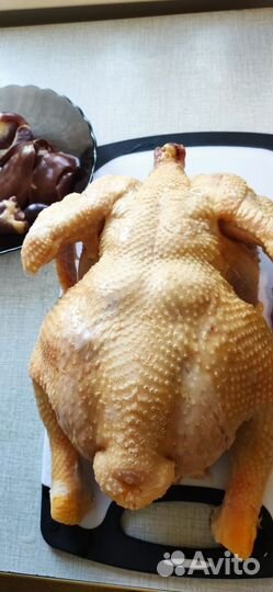 Домашние куры бройлеры
