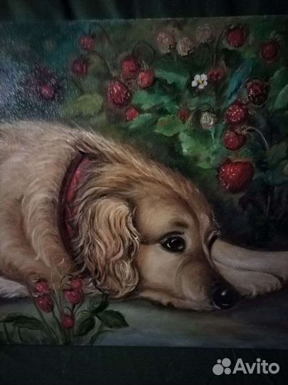 Картина маслом(Сделаем50процСкид)хол,Спаниель45х60