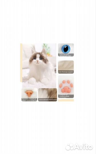 Реалистичная игрушка. Кот Чонгер. Новый