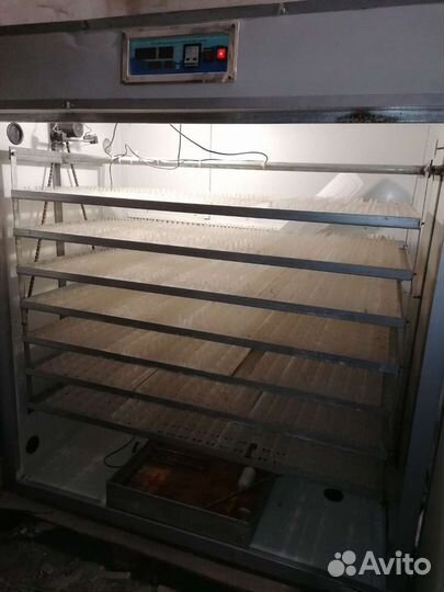 Инкубатор для яиц автоматический