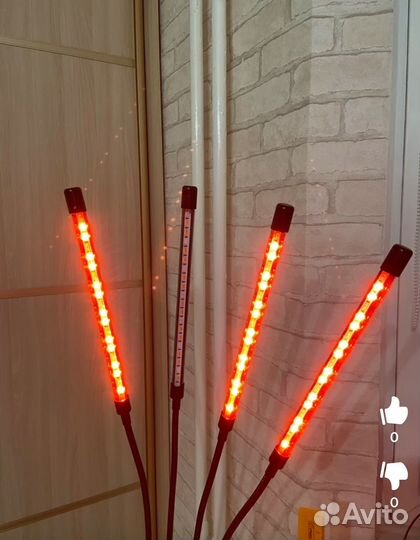 Фитолампа (лампа для рассады)