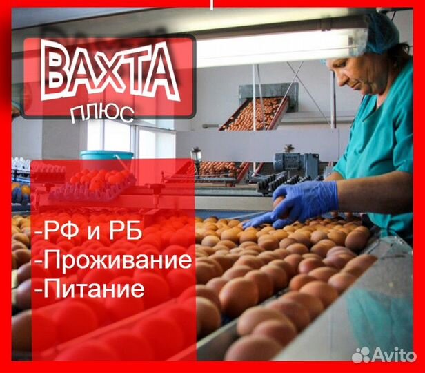 Вахта / Упаковщик яиц / Работа / Брянск