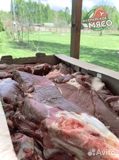 Мясо говядина