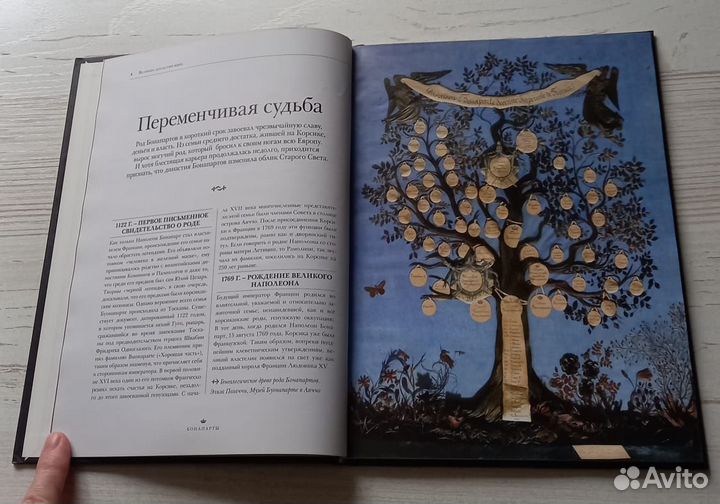 Книга. Великие династии мира. Бонапарты.Биография