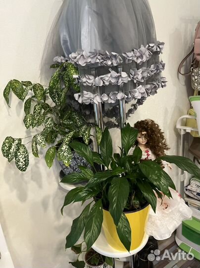 Полка под цветы