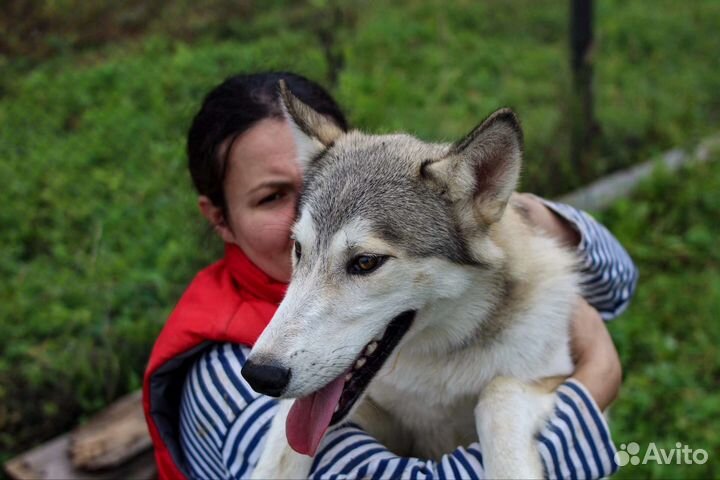 В любящую семью