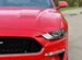 Ford Mustang 5.0 AT, 2022, 74 км с пробегом, цена 8999999 руб.