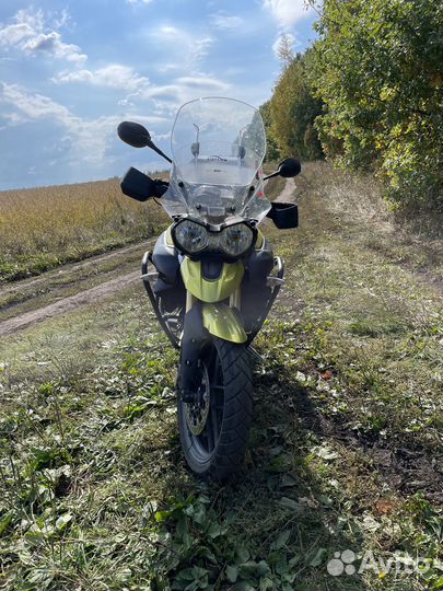 Triumph Tiger 800