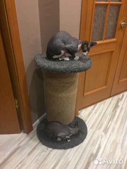 Ремонт когтеточек для кошек (перетяжка столбиков)