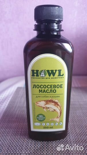 Сапоги для собак