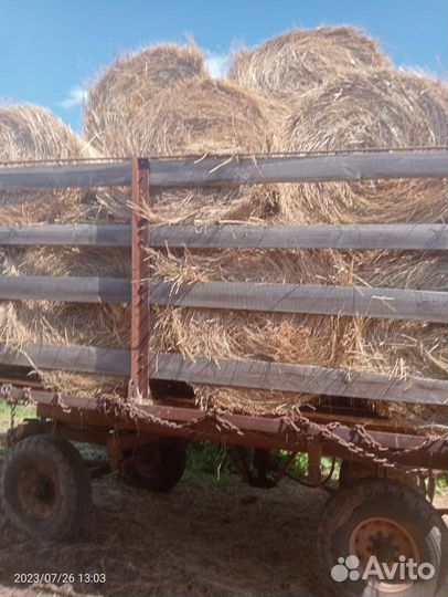 Продам сено в тюках