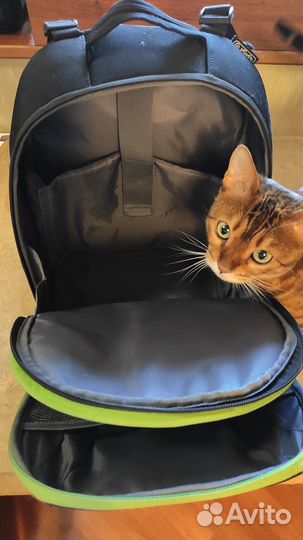 Ранец школьный