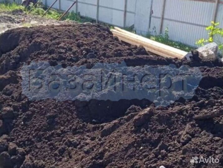 Доставка перепревшего прегноя