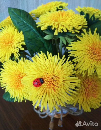 Одуванчики